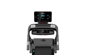 Беговая дорожка Wallaby TS350