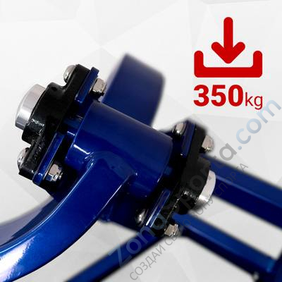 Бицепс сидя на свободных весах Realleader LD-1005 (HSPro-1005)