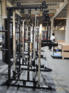 Двойная регулируемая тяга с машиной Смита Vertex FT-153