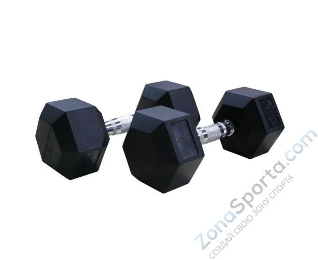 Гантели гексагональные 2 шт. по 1 кг DFC DB001-1
