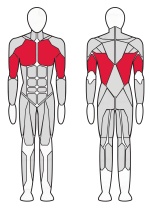 Гравитрон Fitex FTX-6216