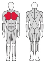 Грудь машина Fitex Pro FTX-61F07