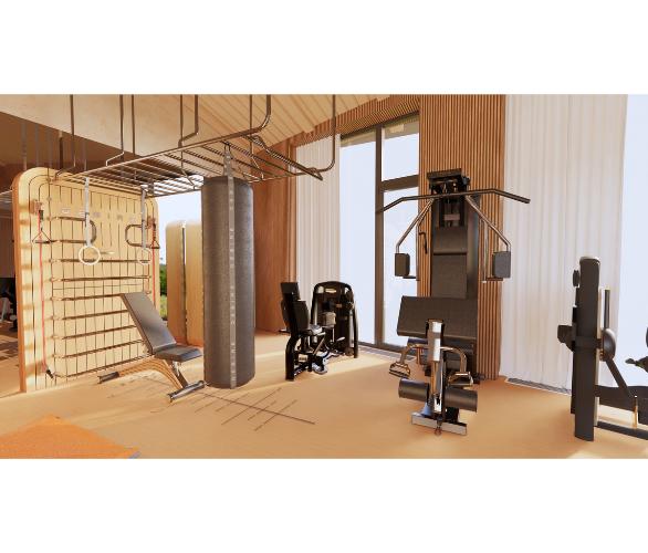 Многофункциональный комплекс с элементами отделки частных яхт и рукоходом шведская стенка Desire Regatta Sky