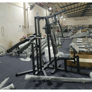 Мультистанция 3-х позиционная Gymmaster FC6015