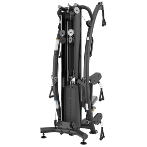 Мультистанция Gymmaster TF6005