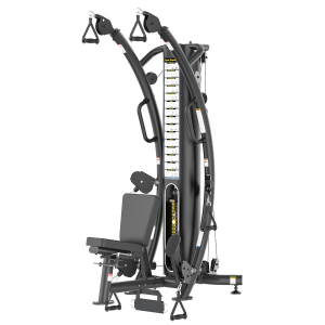 Мультистанция Gymmaster TF6005