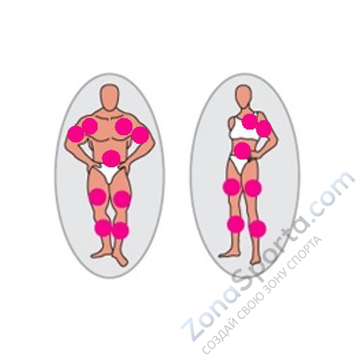 Мультистанция HouseFit HG-2006