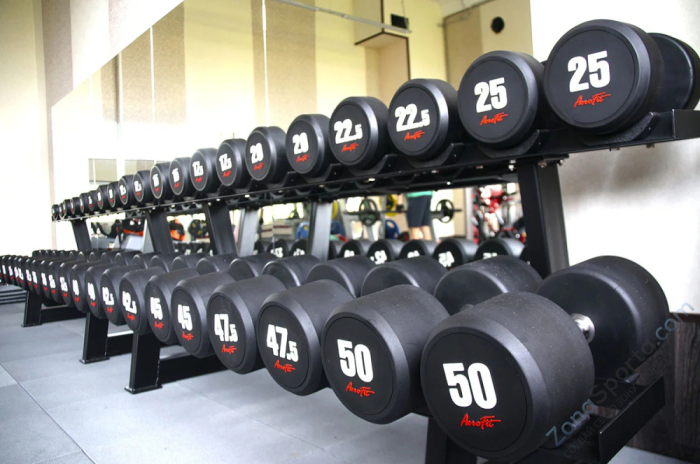 Набор обрезиненных гантелей AeroFIT AFDB52,5-60