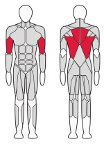 Нижняя тяга Fitex Pro FTX-FB33