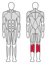 Тренажер Голень сидя Fitex FTX-6910