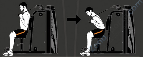 Пресс машина Steel Flex Hope HAM900