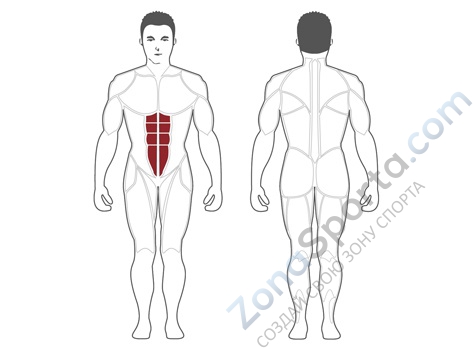 Пресс машина Steel Flex Hope HAM900