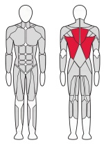 Рычажная тяга Fitex FTX-82007R