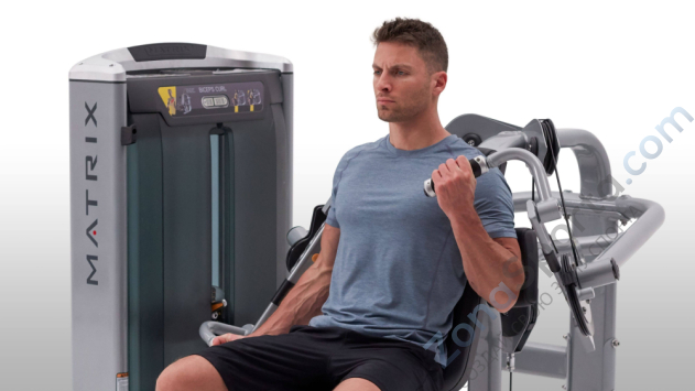 Сгибание на бицепс Matrix Ultra G7-S41