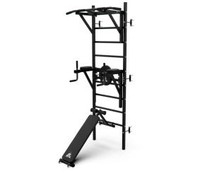 Шведская стенка с опциями DFC Classic VT-7006