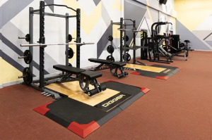 Скамья универсальная с отрицательным углом наклона Hasttings Digger HD020-6