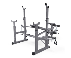 Скамья со стойками под штангу DFC D707 Master S