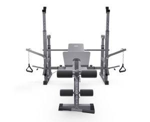 Скамья со стойками под штангу DFC D707 Master S