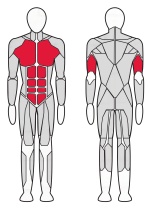 Стойка брусья-пресс Fitex Pro Optima FTX-61A45
