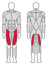 Стойка для приседаний Fitex Pro Optima FTX-6854