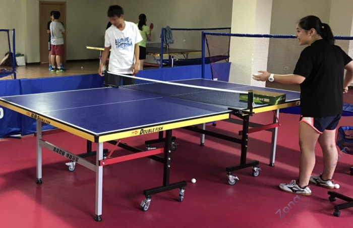 Теннисный стол Double Fish 218E (синий)