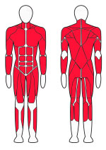 Тренажер для приседа/становой тяги/выпадов Fitex Pro FTX-FB84