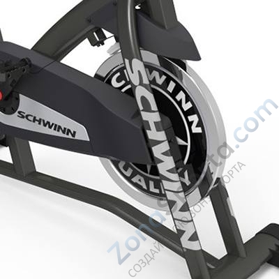 Buy best sale schwinn ic2