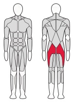 Ягодичный мостик (с регулируемой платформой) Fitex FTX-82032A