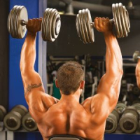 Как правильно делать упражнения для мышц плеч